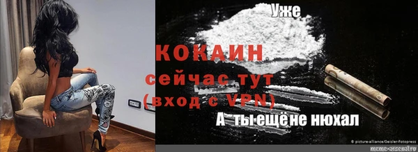 мдпв Касимов