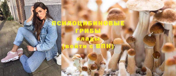 прущая мука Карталы