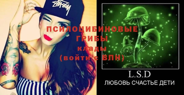мдпв Касимов