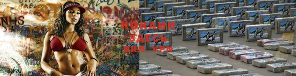 мдпв Касимов