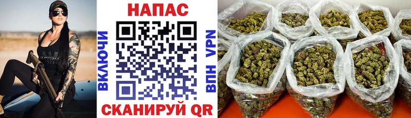 Шишки марихуана планчик  Купить закладки  Беломорск 